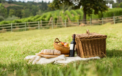 What an Impromptu Picnic has Taught Me